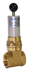 for model 2"popet valve