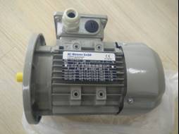 Fca 132sa-6-S1-F-3kw Electro Motor
