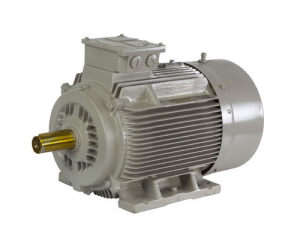 Ac Motor