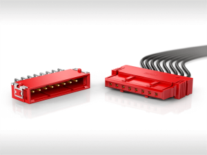 Erni
