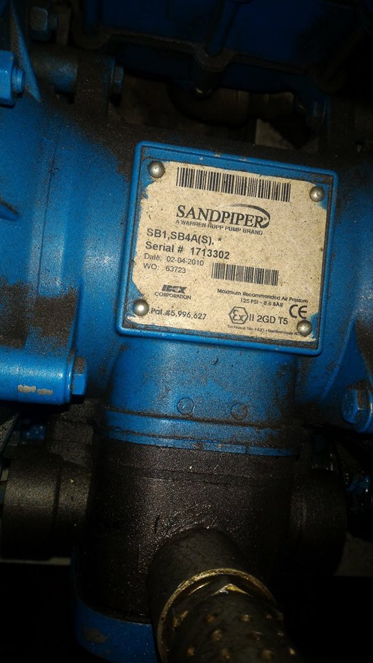 Sandpiper
